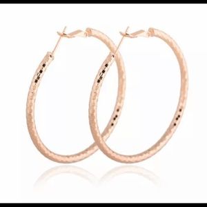 Rose Gold Round Sparkling Hoop Earrings